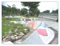 八堡圳公園三