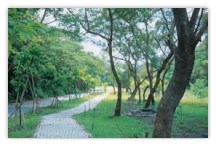 田中森林公園歩道