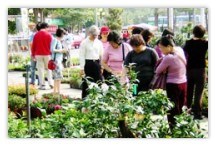 公路花園