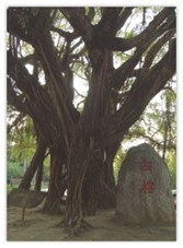虎山巖四