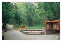 豐柏登山