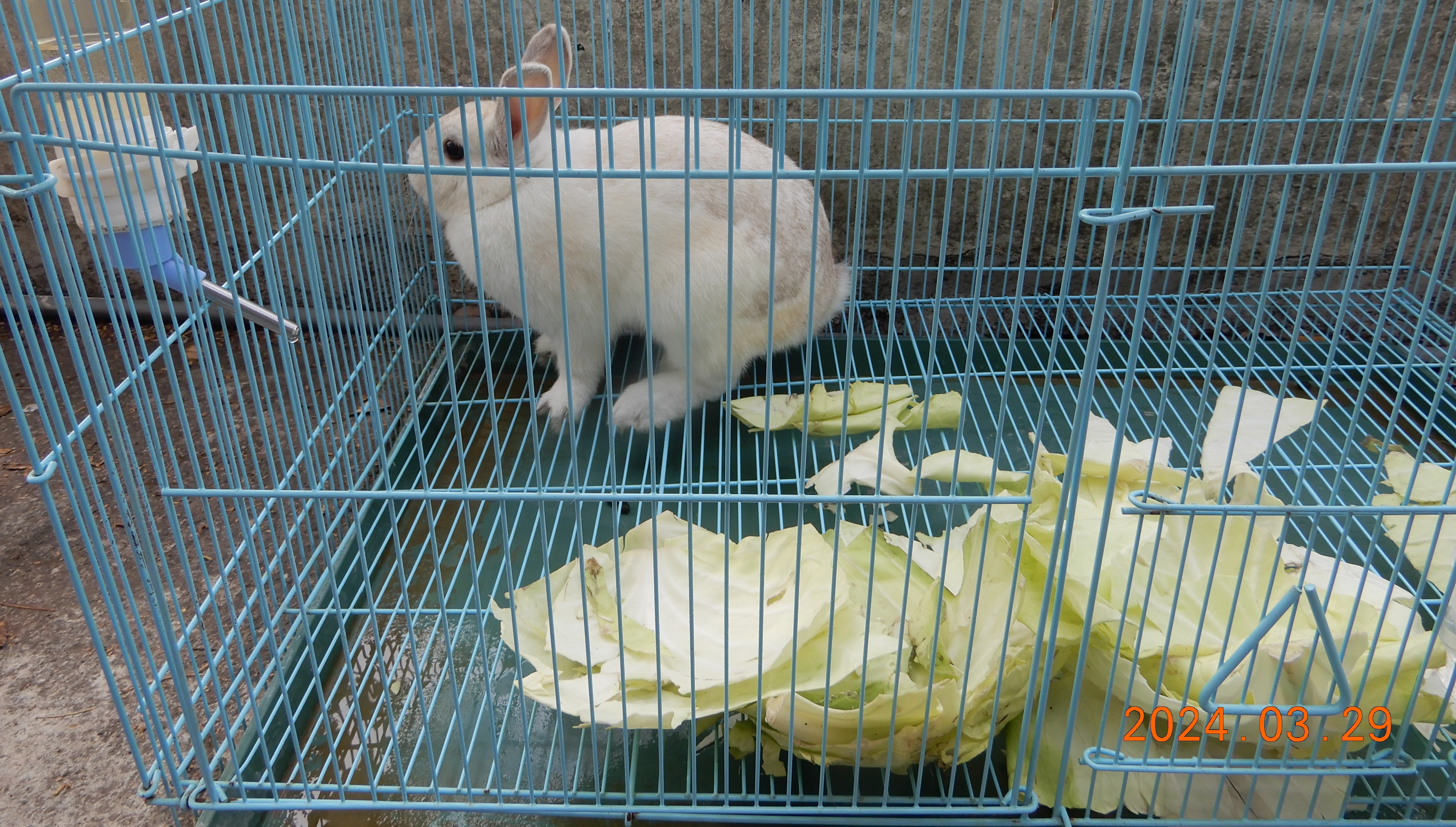生命教育