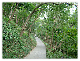 田中森林公園3